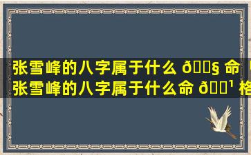 张雪峰的八字属于什么 🐧 命「张雪峰的八字属于什么命 🌹 格的人」